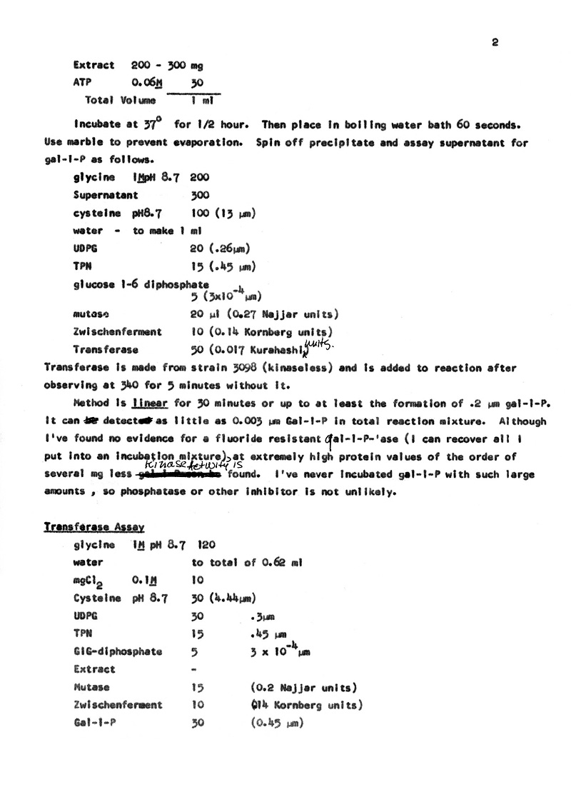 EML reviews Soffer p2